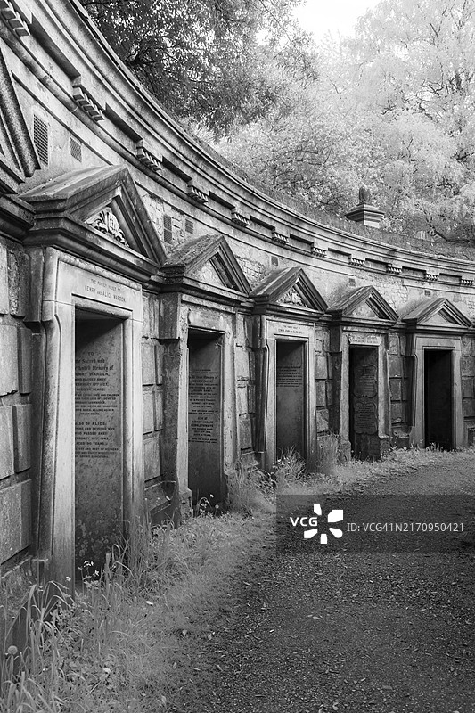 伦敦海格特公墓黎巴嫩圈的红外图像图片素材
