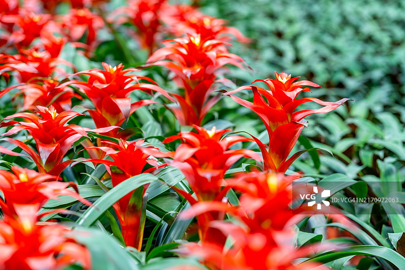 财富就在最前沿图片素材