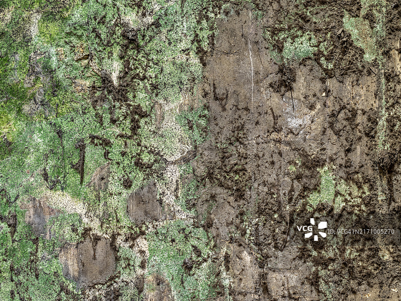 带有湿渍、灰尘和蜘蛛网的内墙纹理图片素材