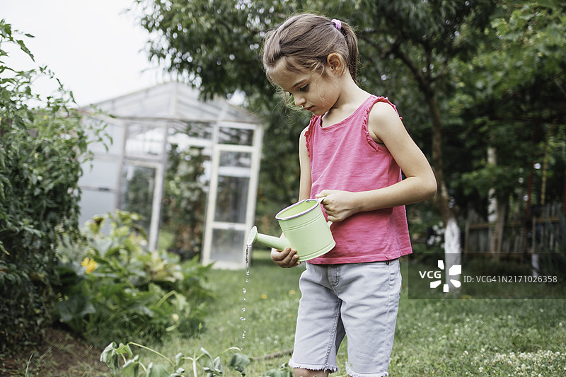 穿着粉色衬衫在花园里浇花的小孩图片素材
