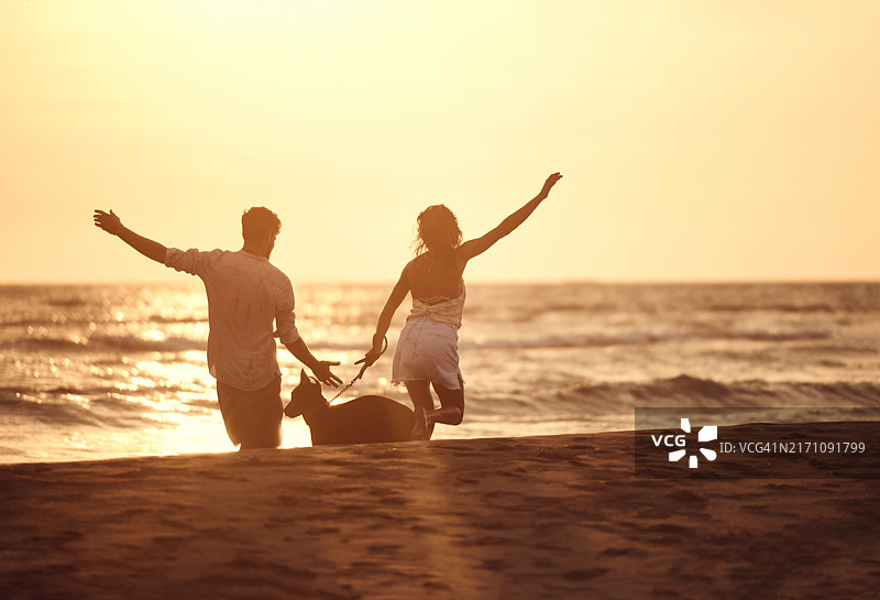 情侣在海滩上和他们的狗一起奔跑的背影图片素材