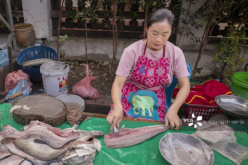 老挝琅勃拉邦，一名老挝妇女在早市上卖鲜鱼图片素材