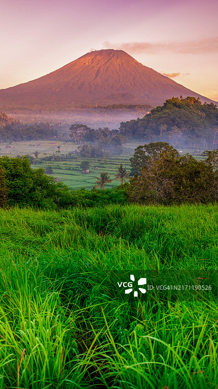 印度尼西亚巴厘岛塔巴南日落时分的田野风光图片素材