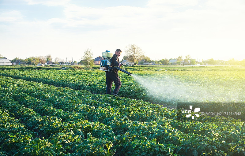 农民给马铃薯喷洒硫酸铜溶液图片素材