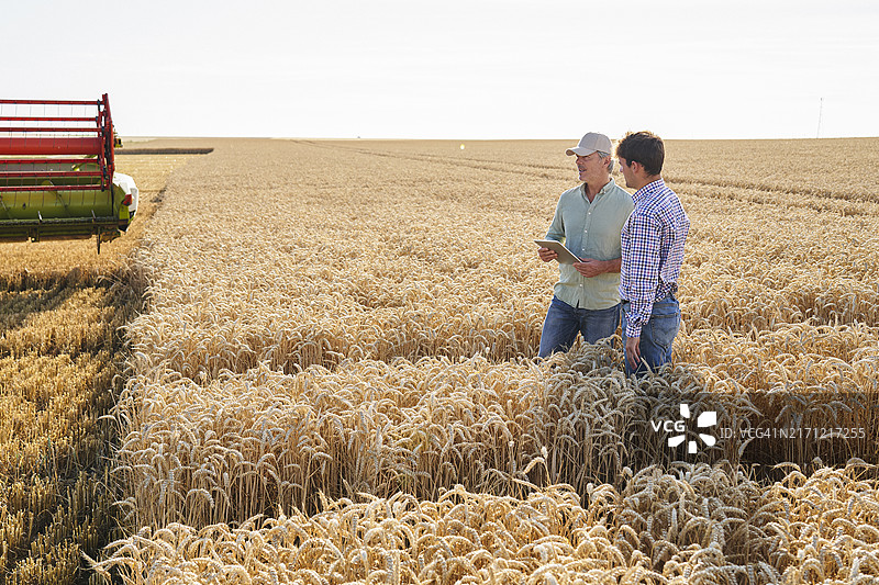 精准农业专家为农民提供收割机旁的田间建议图片素材