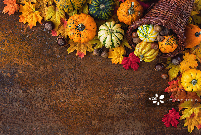 秋季或感恩节装饰图片素材