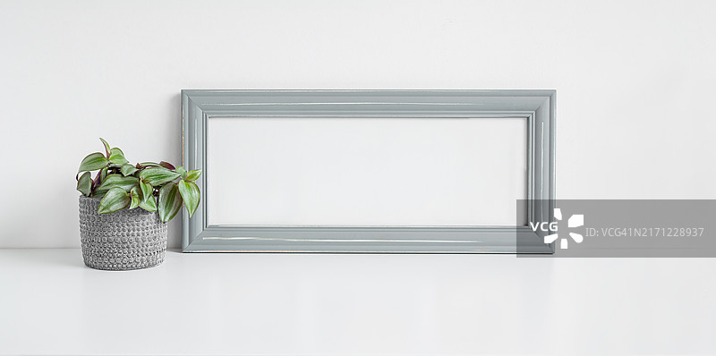 灰色样机相框和吊竹梅盆栽图片素材