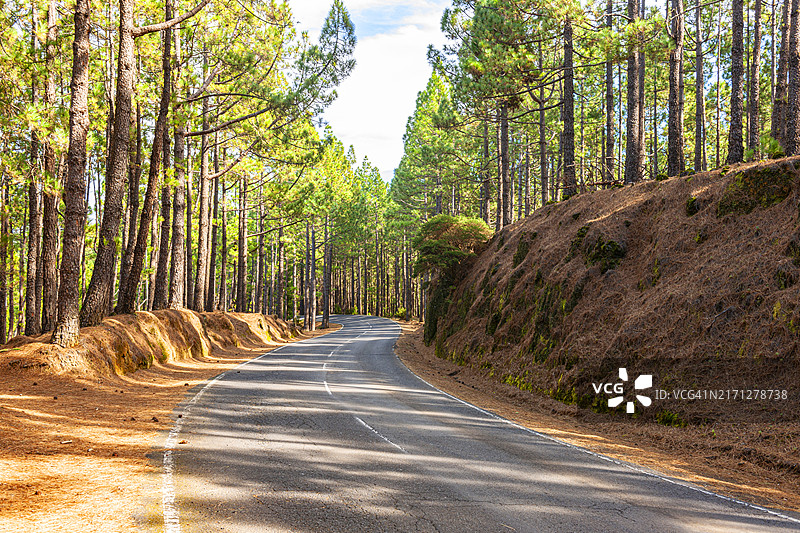 特内里费岛，穿越泰德国家公园的公路图片素材