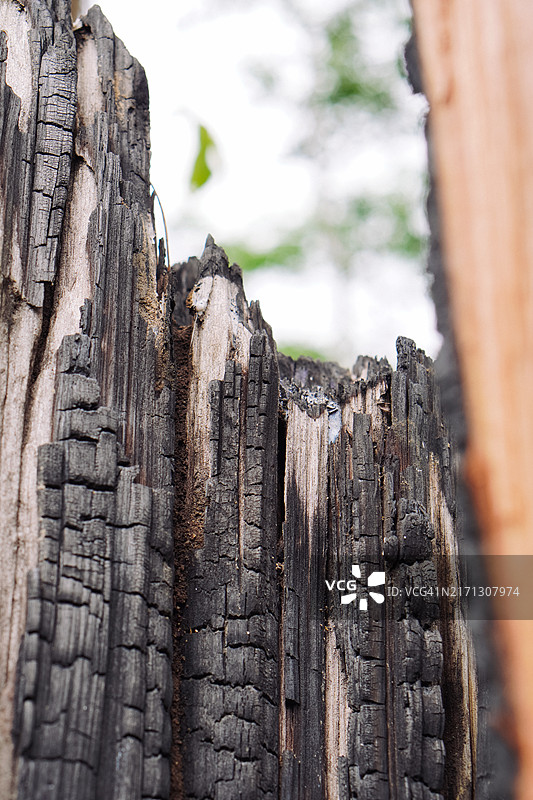 烧焦的木纹背景，可制成木炭图片素材