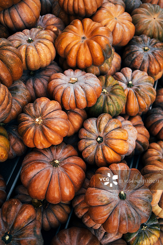 户外集市上的橙色南瓜，万圣节和感恩节庆祝概念图片素材