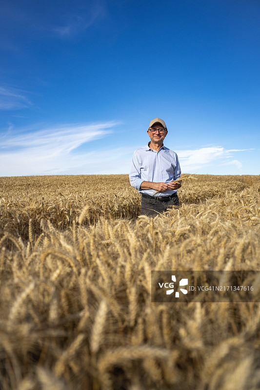 农民独自站在麦田中央的肖像图片素材