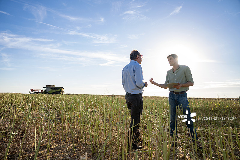 日落时分，农民和农艺师在收割机旁的田野里交谈图片素材