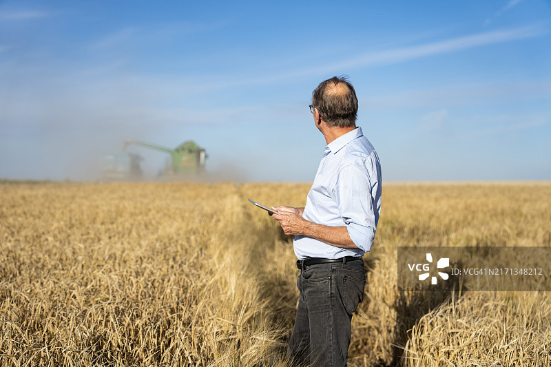 农艺师在麦田进行作物评估，背景是收割机图片素材