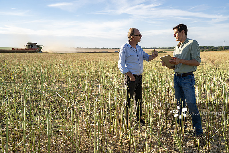 农民和农艺师在农田里交谈，背景是收割机图片素材