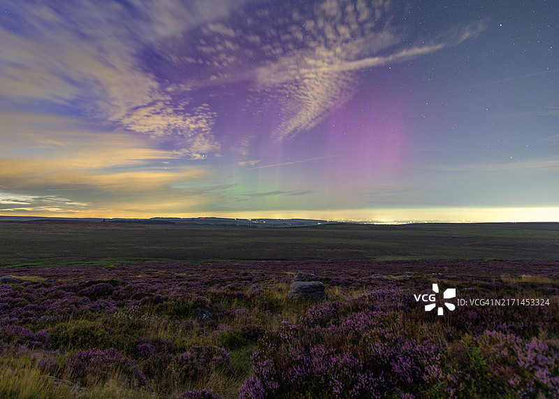 峰区紫色石楠花上的北极光图片素材