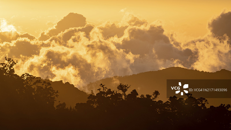 哥斯达黎加云雾森林的傍晚云彩图片素材