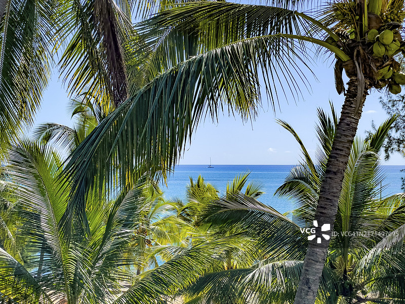 毛里求斯高处椰林俯瞰蓝色印度洋图片素材