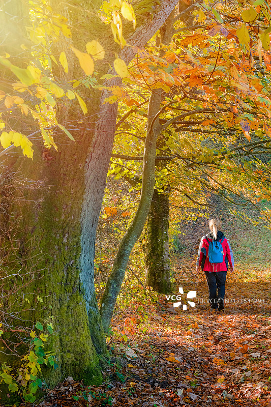 秋日漫步图片素材