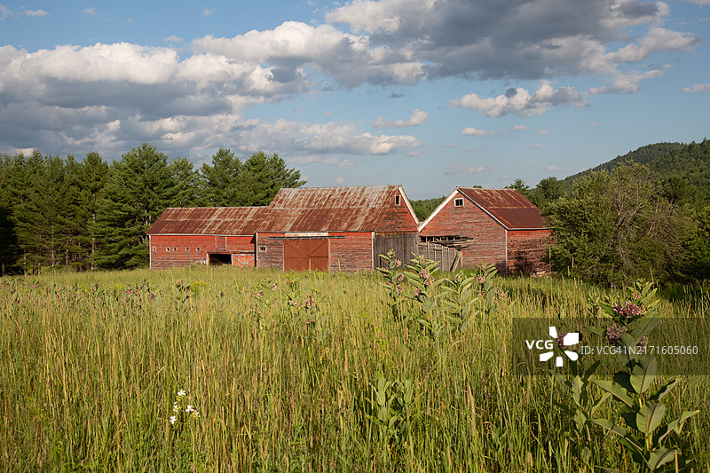 草地上的红色谷仓图片素材