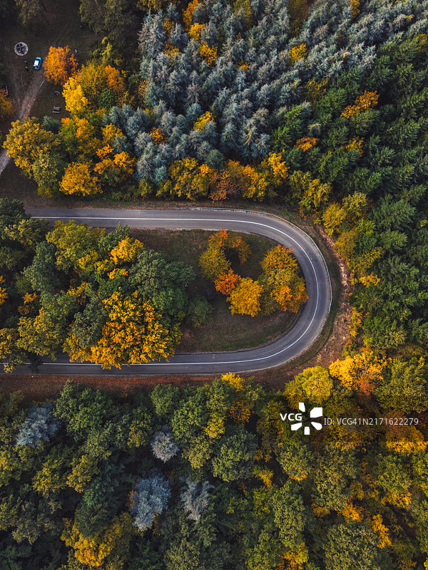 阳光明媚的秋日森林乡村公路航拍图图片素材