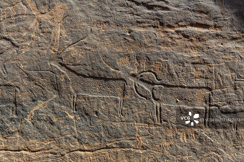 沙特阿拉伯哈伊勒地区朱巴联合国教科文组织岩石艺术遗址图片素材