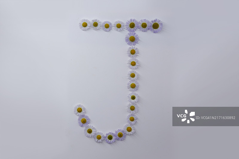 花，野花，连翘，形状，形式，字母J，顶角，正顶角，无人图片素材