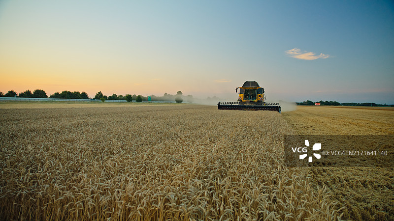 金色时分：小麦收割图片素材