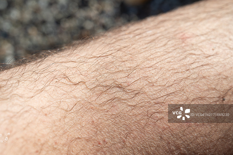 海滩上覆盖着毛发的男人腿部特写图片素材