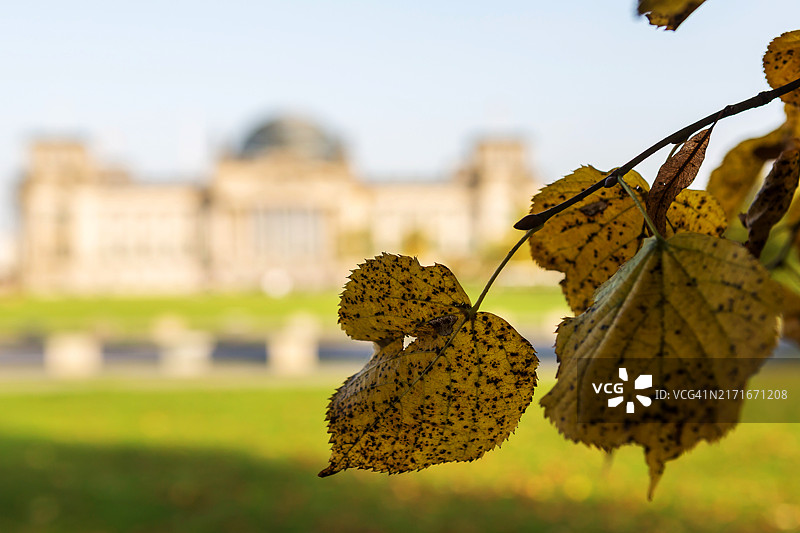 秋色中的德国联邦议院-国会大厦（德国议会大厦）-德国柏林图片素材