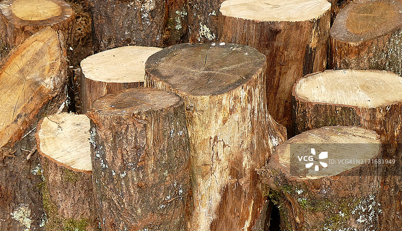 堆叠的原木图片素材