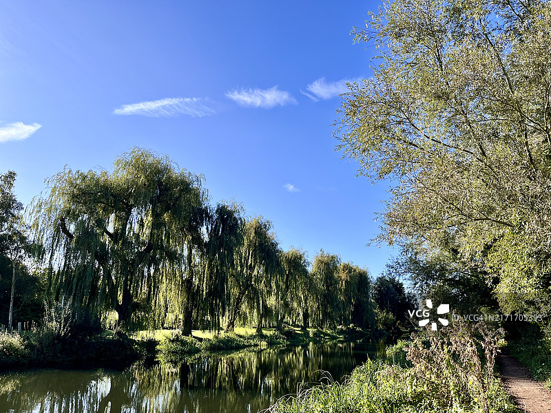 剑河边的树木图片素材