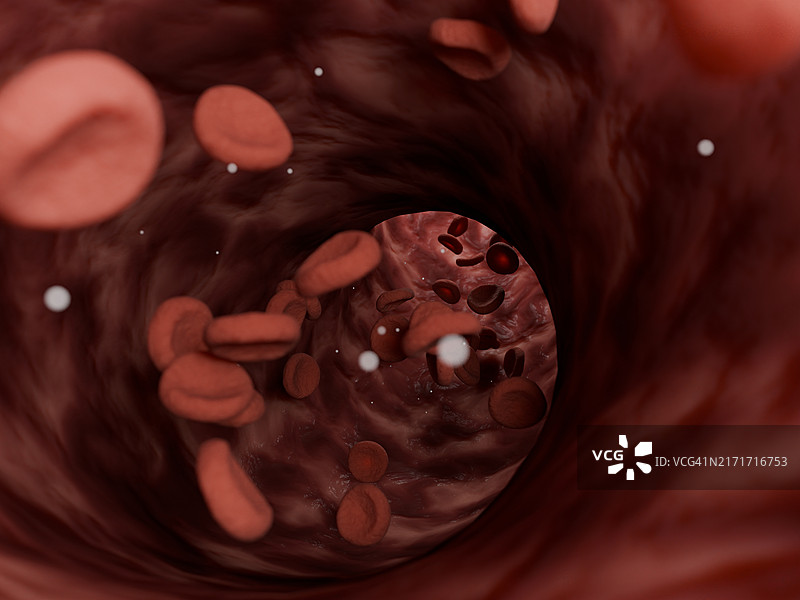 血管中的血细胞图片素材