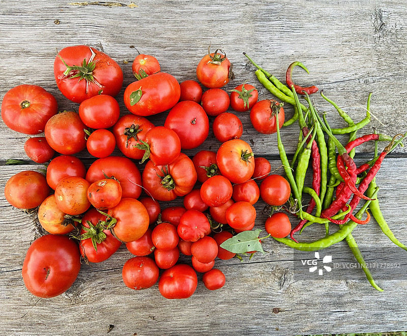伊朗吉兰省塔莱什的番茄（高角度拍摄）图片素材