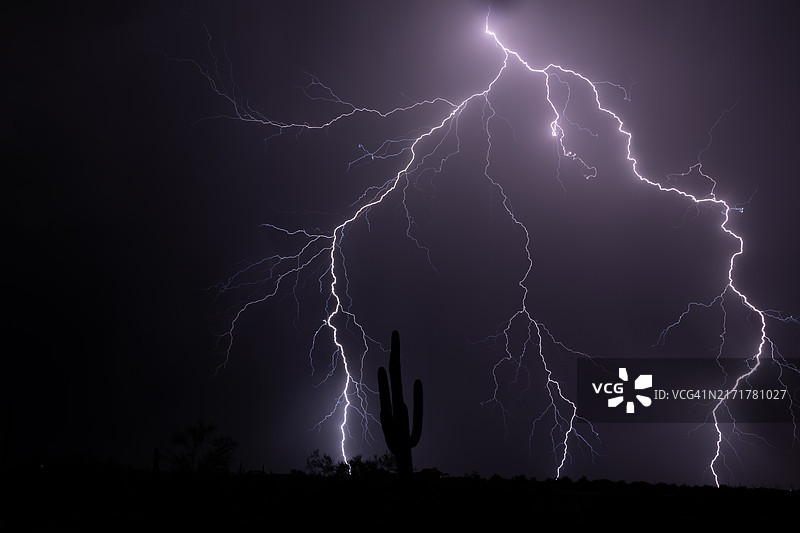 仰视镜头下的夜间闪电，美国图片素材