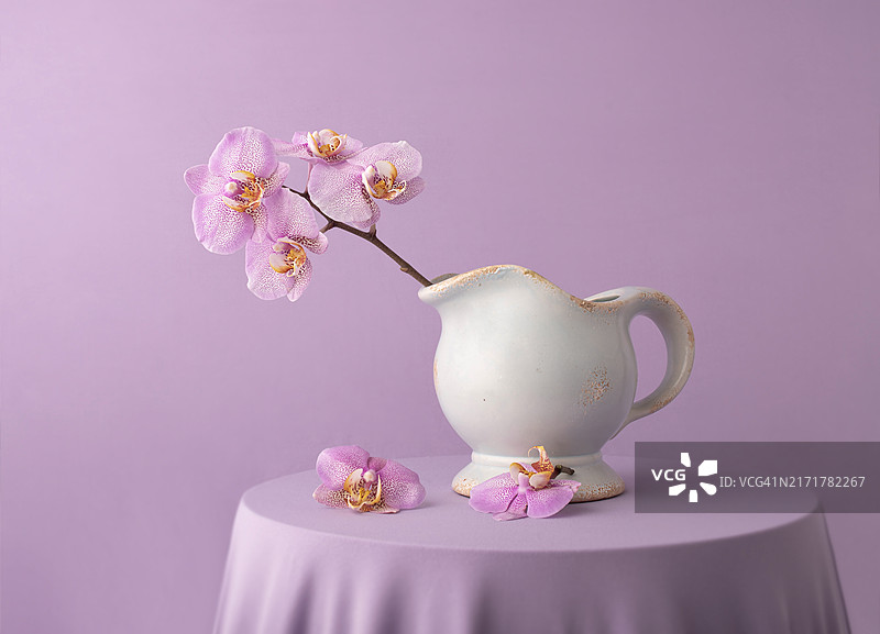 紫色背景下的花瓶粉色花朵特写图片素材