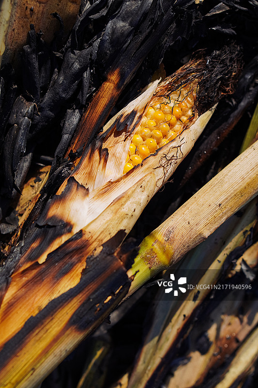 燃烧的玉米图片素材