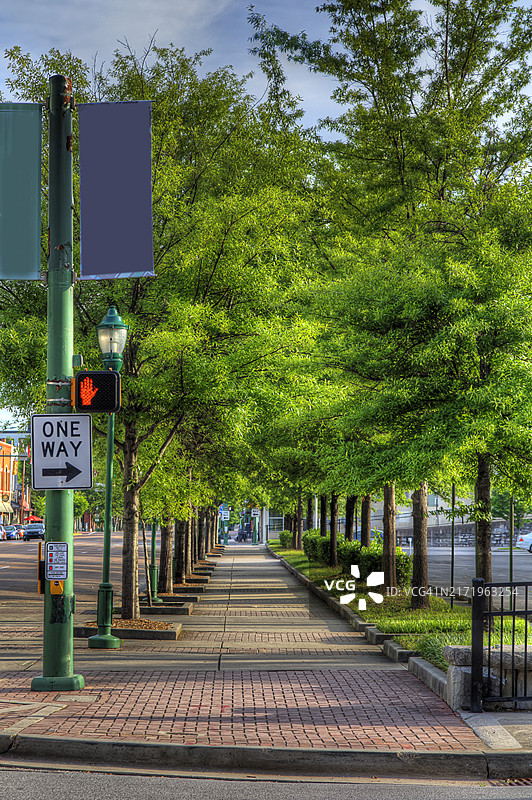 林荫人行道图片素材