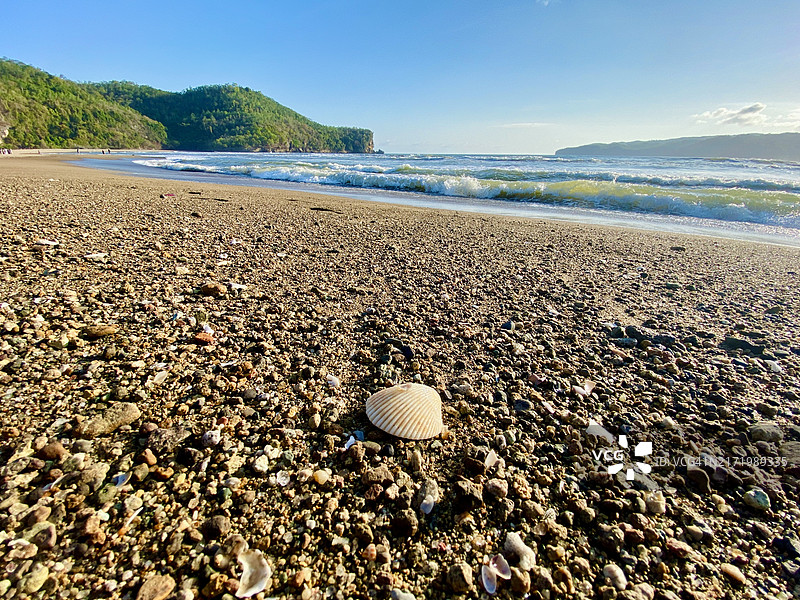 沙滩鹅卵石表面的贝壳特写图片素材