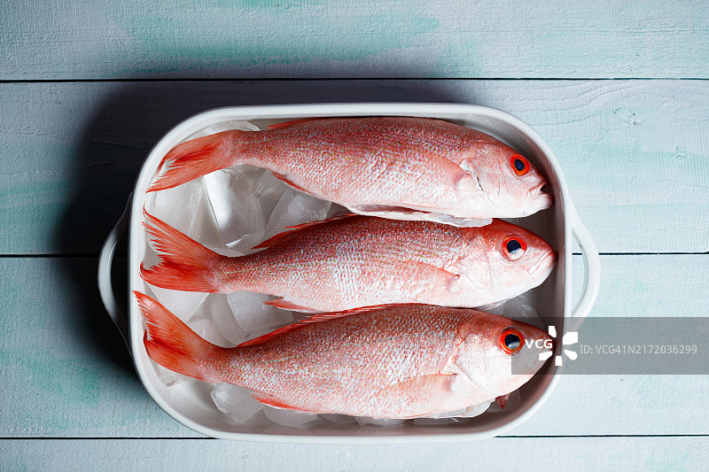 冰镇石盘红鲷鱼图片素材