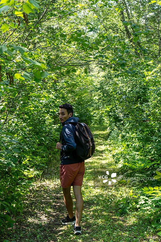 远眺的森林徒步者图片素材