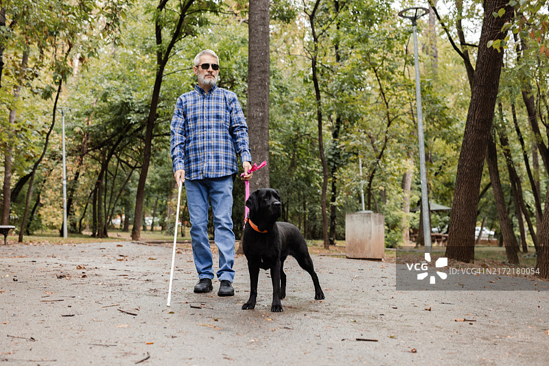 盲人享受新鲜空气，导盲犬带他在公园里散步图片素材