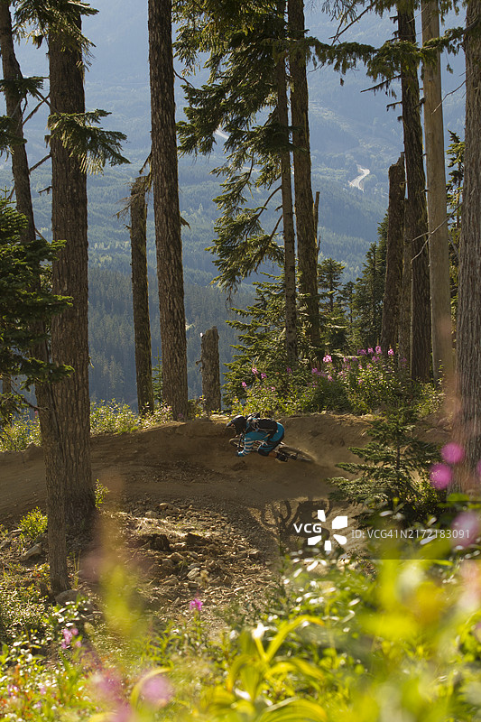 在不列颠哥伦比亚省惠斯勒的惠斯勒山地自行车公园骑行图片素材