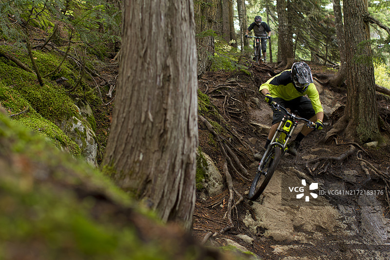 在不列颠哥伦比亚省惠斯勒的惠斯勒山地自行车公园骑行图片素材