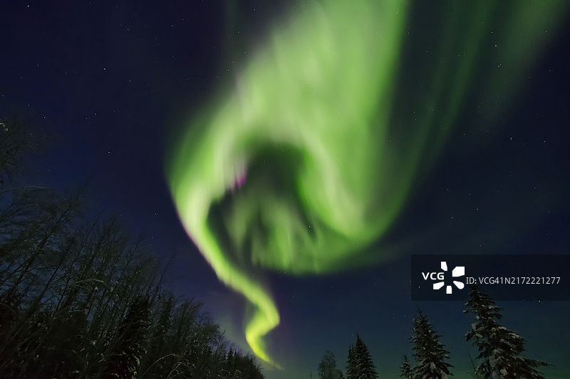 绿色的车轮图片素材