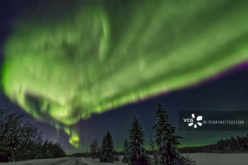 极光之龙图片素材