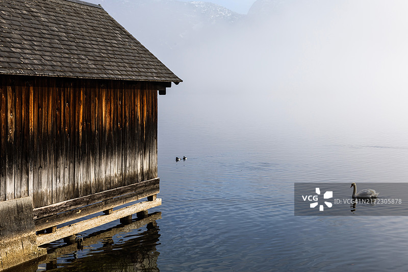 带有天鹅的木制船屋图片素材