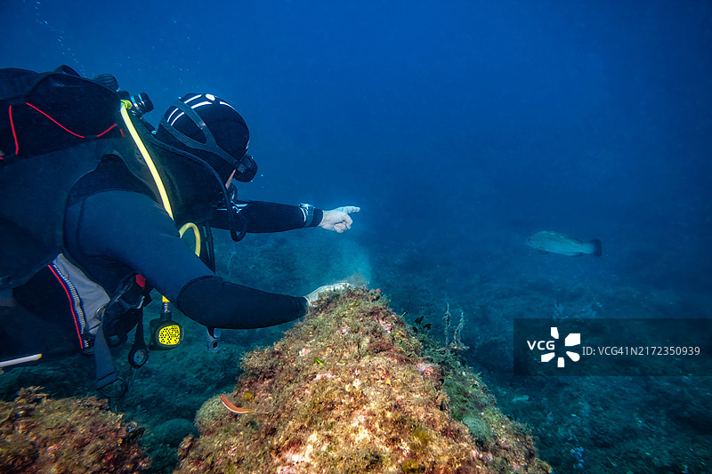 潜水员探索梅德斯群岛的水域图片素材