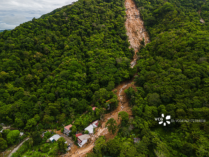 茂密森林中的滑坡航拍图片素材