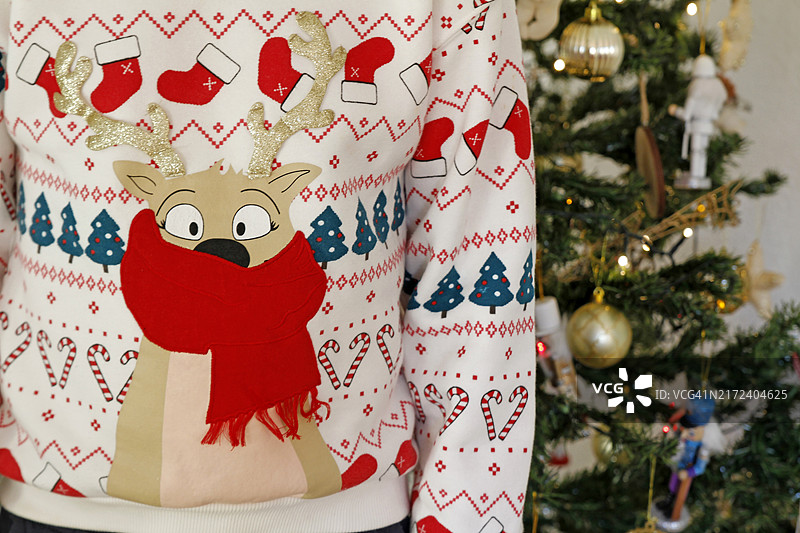 穿着圣诞毛衣的男孩肖像图片素材