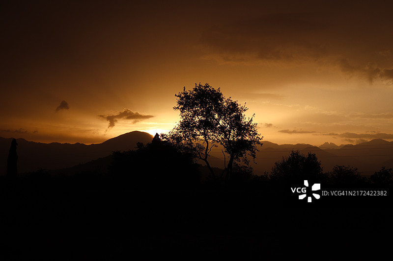 日落时分天空下的树木轮廓图片素材